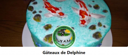 Les gateaux de delphine 1